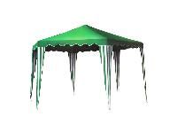 ���� Green House TN-001
