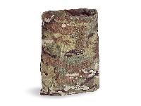 �������� Tasmanian Tiger TT Dump Pouch MC, multicam