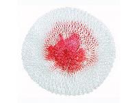 ����� �� 12 ������� Anchor ��� Butterfly 500CP