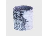 ������-���������� ������������, ������, S