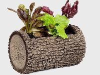 ������-���������� ��������������, ���, �