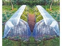 ������ ��� ������ ������� (� �������)