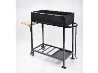 ������ �������